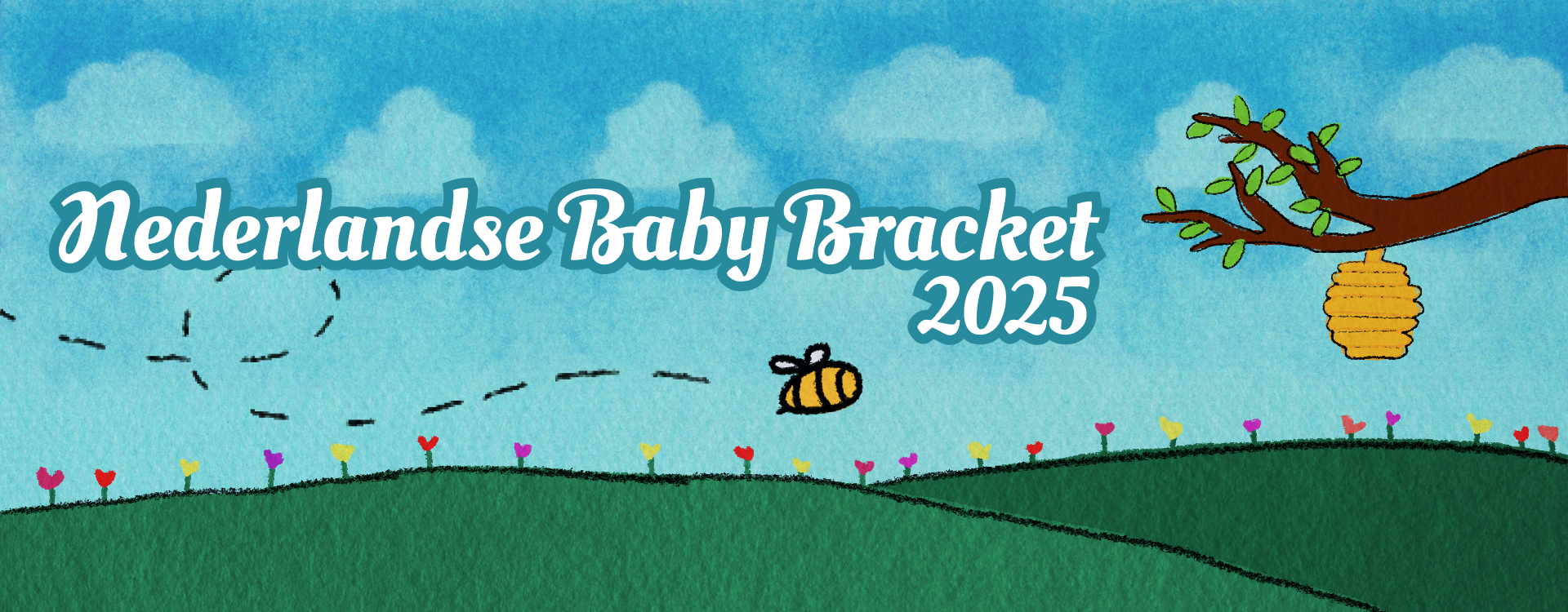 Nederlandse Baby Bracket 2025
